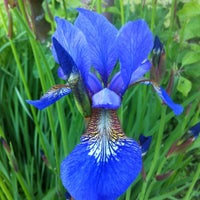Mein Garten Lütten Klein 0 tips