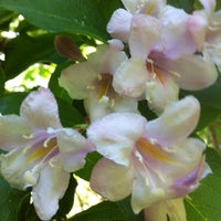 Mein Garten Lütten Klein 0 tips