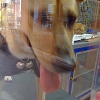 Photo taken at Dog Enjoy by HUGO by LiTtLe AnGeL P. on 10/23/2012