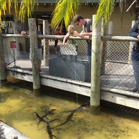 Congo River Golf 10555 Us Highway 19