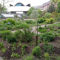 Botanischer Garten Der Universitat Basel Jardin Botanique A Basel