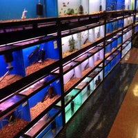 Fred's pet clearance supplies