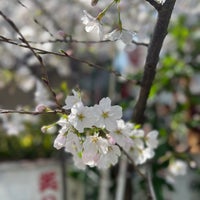 Photo taken at Ōkubo Station by Jina P. on 3/22/2023