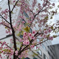 Photo taken at 築地川銀座公園 by Jina P. on 3/6/2023