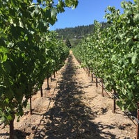 7/5/2018 tarihinde Najwa K.ziyaretçi tarafından Rutherford Ranch Winery'de çekilen fotoğraf