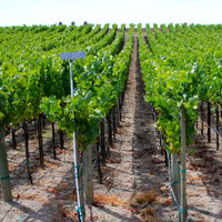 Foto tirada no(a) Sonoma-Cutrer Vineyards por Sonoma-Cutrer Vineyards em 11/13/2014