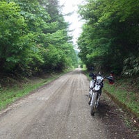 瀞川氷ノ山林道