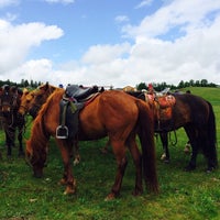 6/28/2014にDana H.がMongolia Horse Riding Clubで撮った写真