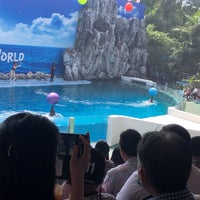 Photo taken at Dolphin Show by aUN on 10/23/2020