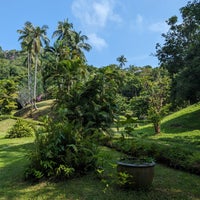 1/6/2024 tarihinde Christophe L.ziyaretçi tarafından Tamarind Springs Forest Spa'de çekilen fotoğraf