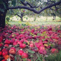 10/20/2012 tarihinde Anna G.ziyaretçi tarafından Rock Hill Orchard'de çekilen fotoğraf