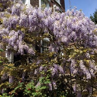 Photo taken at Burgh House and Hampstead Museum by Röss N. on 5/4/2014