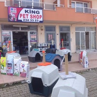king pet shop