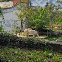 Das Foto wurde bei Зоопарк София (Sofia Zoo) von Petya G. am 4/30/2024 aufgenommen