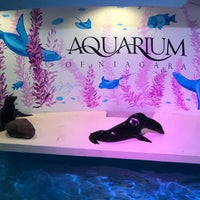 Photo taken at Aquarium of Niagara by Mohammed B. on 8/22/2019