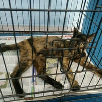 Pusat Haiwan Port Klang G27 Jalan Orkid 1a Ks04