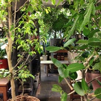 Buzz 恵比寿 Visitors