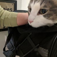 animal hospital alexandria