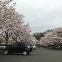 庄原上野池公園 Park