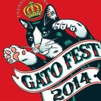 Photo taken at GatoFest 2014 by An g. on 2/16/2014