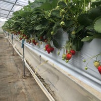 池田観光果樹園 Fruit Vegetable Store