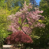 Photo taken at Lithia Park by Laura U. on 5/10/2024
