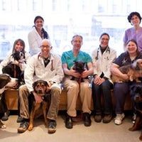 Animal Kind Veterinary Hospital South Slope Brooklyn Ny