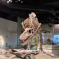 Photo taken at Hall Of Dinosaurs by Terrence S. on 3/26/2021