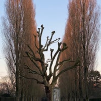 Photo taken at De Nieuwe Ooster Begraafplaats &amp;amp; Crematorium by Emiel H. on 12/16/2022