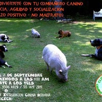 Photo taken at Centro de Integración Canina Humana (CICH Club) by Yanni V. on 4/29/2014