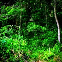 Photo taken at Indian Creek Nature Center by Kevin R. on 6/1/2012