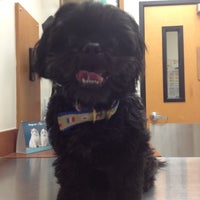 Photo taken at Banfield Pet Hospital by Maggy on 7/2/2012