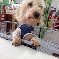 島忠ホームズ 中野本店 中野区 東京都