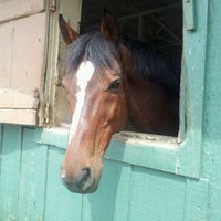 Photo taken at Palo-Mar Stables by Emily C. on 4/9/2012