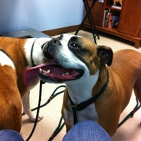Photo taken at TLC Animal Hospital by Laura M. on 3/19/2012