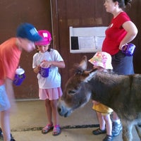 Foto tomada en Land of Little Horses Farm Park  por Lauren C. el 6/23/2012