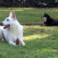 Photo taken at O&amp;amp;B Dog Park by J S. on 3/29/2012