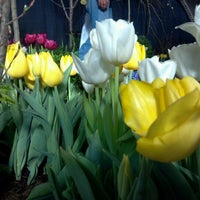Photo taken at Indianapolis Flower &amp;amp; Patio Show by Bob B. on 3/12/2012