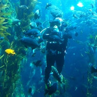 Photo taken at Kelp Forest by Lennie A. on 8/14/2012