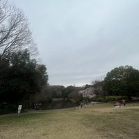 Photo taken at 鴨池公園 by Murakawa Y. on 3/29/2022