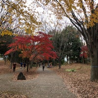 Photo taken at 葛ケ谷公園 by Murakawa Y. on 12/12/2020
