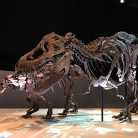 Photo taken at Morian Hall of Paleontology at HMNS by Robert F. on 5/28/2018