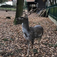 Photo taken at Zookoutek Kunratice by Hans R. on 11/18/2018