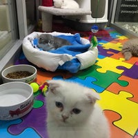 Photos At Pet S World Yenimahalle Ankara Ankara