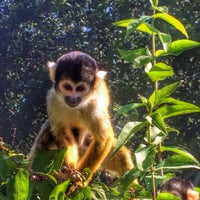 Foto scattata a Dierenpark Emmen da Age Y. il 8/23/2015