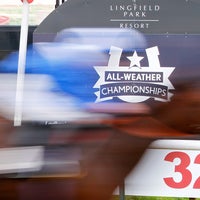 3/5/2014にLingfield Park RacecourseがLingfield Park Racecourseで撮った写真