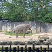 Photo taken at Zoo Taiping &amp;amp; Night Safari by Anah S. on 7/8/2023