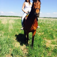 Das Foto wurde bei КСК Western Horse von Anna B. am 5/30/2015 aufgenommen