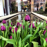 Photo taken at Indianapolis Flower &amp;amp; Patio Show by Eric M. on 3/9/2014