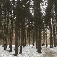 Photo taken at Битцевский лес by miles on 12/15/2015